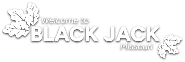 Welcome to Black Jack